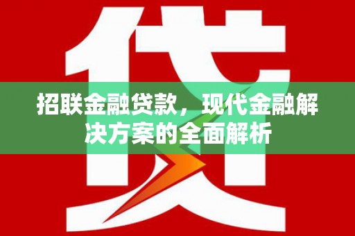 汝南招联金融贷款，现代金融解决方案的全面解析