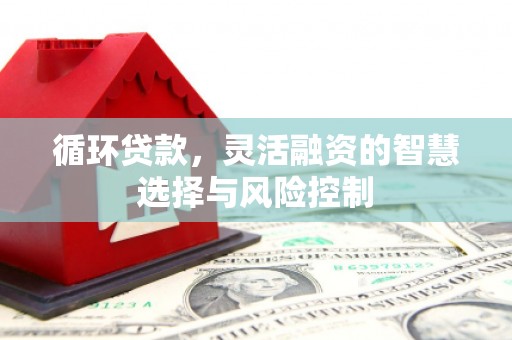 汝南循环贷款，灵活融资的智慧选择与风险控制