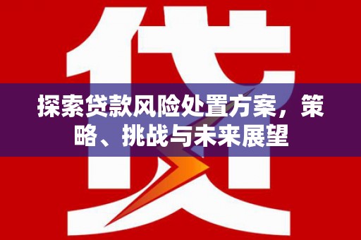 汝南探索贷款风险处置方案，策略、挑战与未来展望