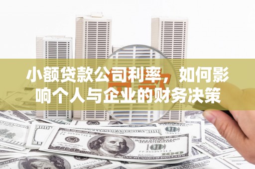 汝南小额贷款公司利率，如何影响个人与企业的财务决策