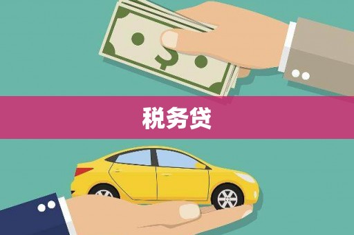 汝南税务贷