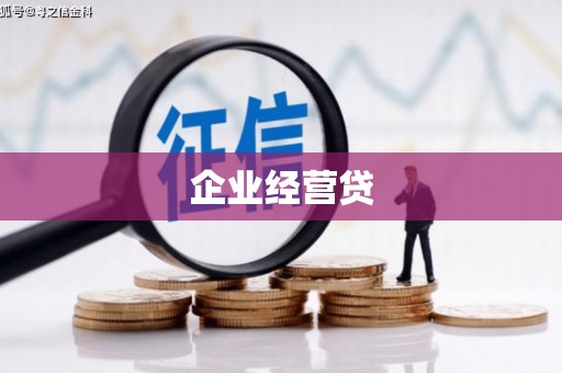 汝南企业经营贷
