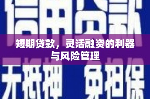 汝南短期贷款，灵活融资的利器与风险管理