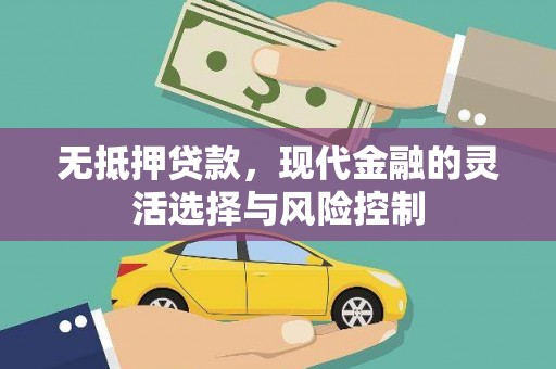 汝南无抵押贷款，现代金融的灵活选择与风险控制