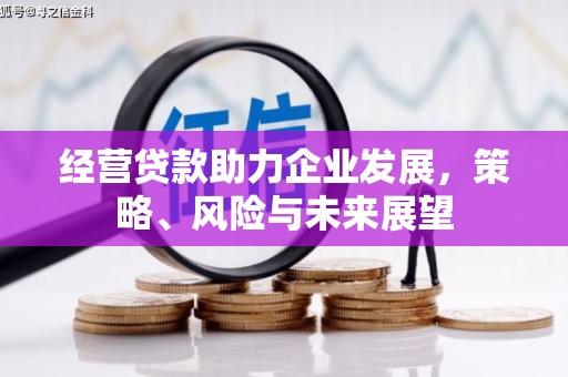 汝南经营贷款助力企业发展，策略、风险与未来展望
