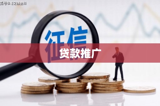 汝南贷款推广