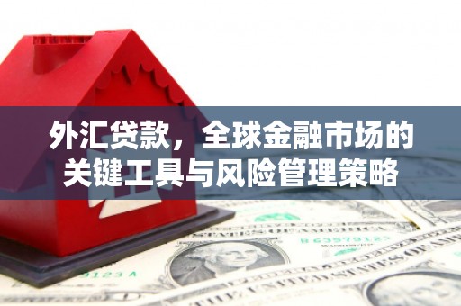 汝南外汇贷款，全球金融市场的关键工具与风险管理策略