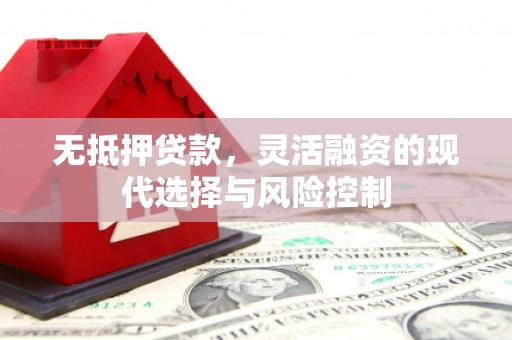 汝南无抵押贷款，灵活融资的现代选择与风险控制