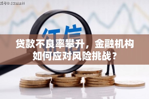 汝南贷款不良率攀升，金融机构如何应对风险挑战？