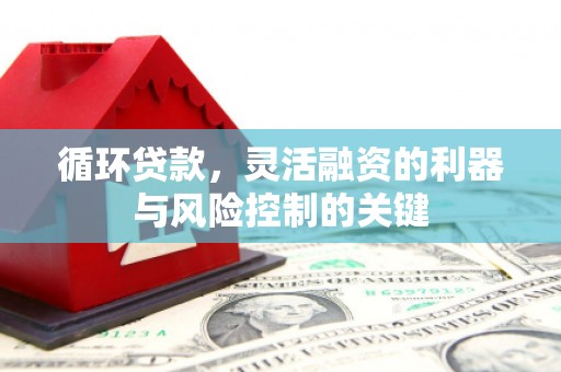 汝南循环贷款，灵活融资的利器与风险控制的关键