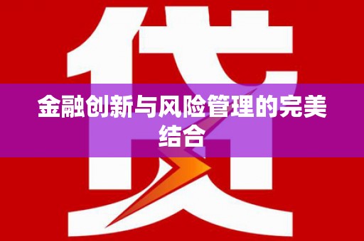 汝南金融创新与风险管理的完美结合