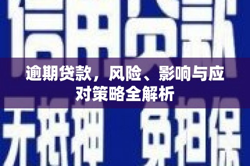 汝南逾期贷款，风险、影响与应对策略全解析