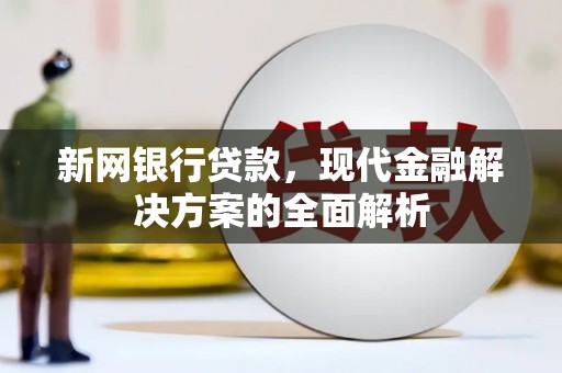 汝南新网银行贷款，现代金融解决方案的全面解析
