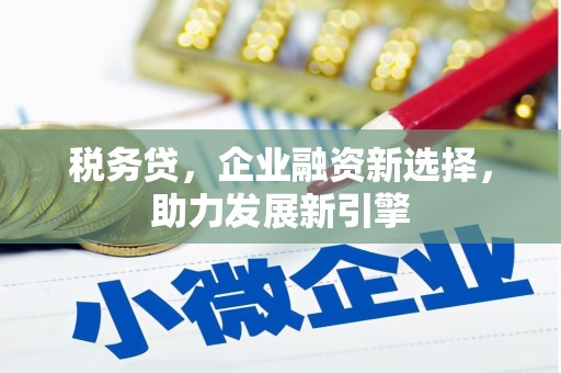 汝南税务贷，企业融资新选择，助力发展新引擎