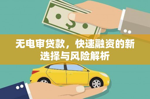 汝南无电审贷款，快速融资的新选择与风险解析
