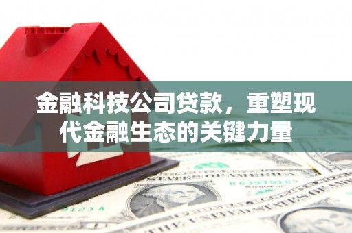 汝南金融科技公司贷款，重塑现代金融生态的关键力量
