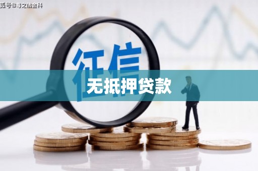 汝南无抵押贷款