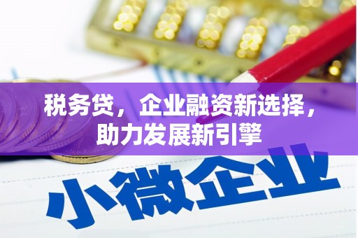 汝南税务贷，企业融资新选择，助力发展新引擎