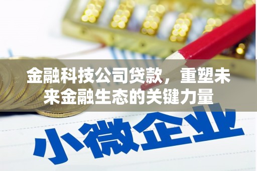汝南金融科技公司贷款，重塑未来金融生态的关键力量