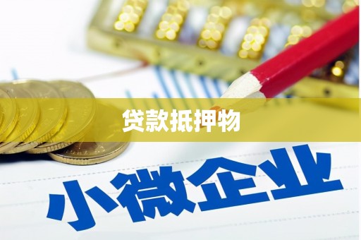 汝南贷款抵押物