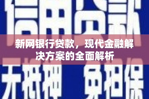 汝南新网银行贷款，现代金融解决方案的全面解析