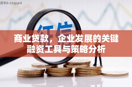 汝南商业贷款，企业发展的关键融资工具与策略分析