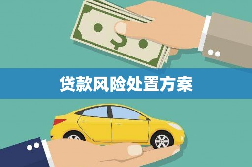 汝南贷款风险处置方案