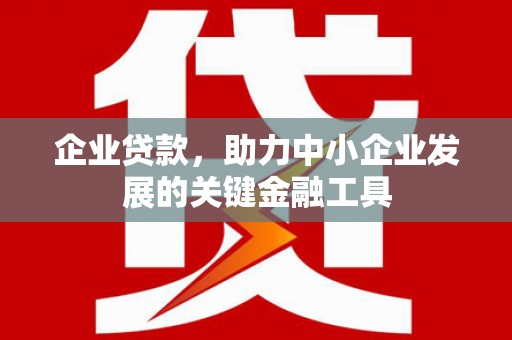汝南企业贷款，助力中小企业发展的关键金融工具