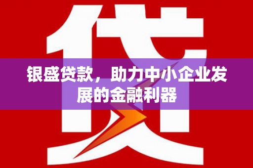 汝南银盛贷款，助力中小企业发展的金融利器