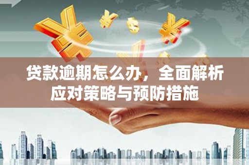 汝南贷款逾期怎么办，全面解析应对策略与预防措施