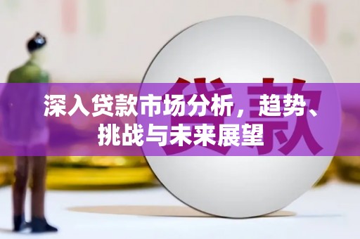 汝南深入贷款市场分析，趋势、挑战与未来展望