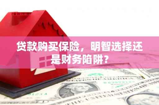 汝南贷款购买保险，明智选择还是财务陷阱？