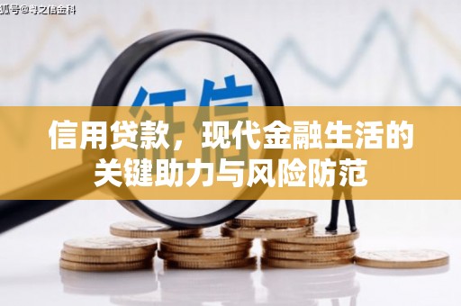 汝南信用贷款，现代金融生活的关键助力与风险防范