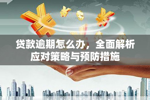 汝南贷款逾期怎么办，全面解析应对策略与预防措施