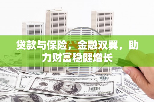 汝南贷款与保险，金融双翼，助力财富稳健增长