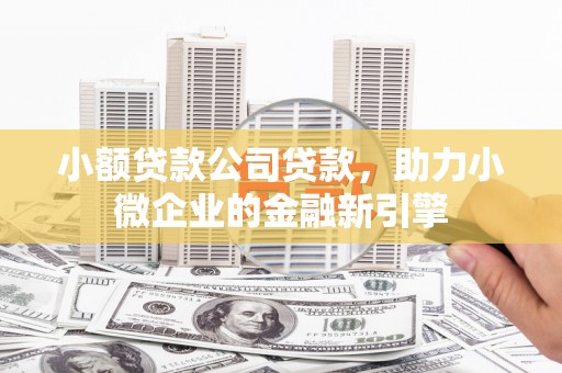 汝南小额贷款公司贷款，助力小微企业的金融新引擎