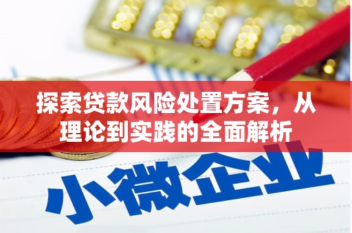 汝南探索贷款风险处置方案，从理论到实践的全面解析