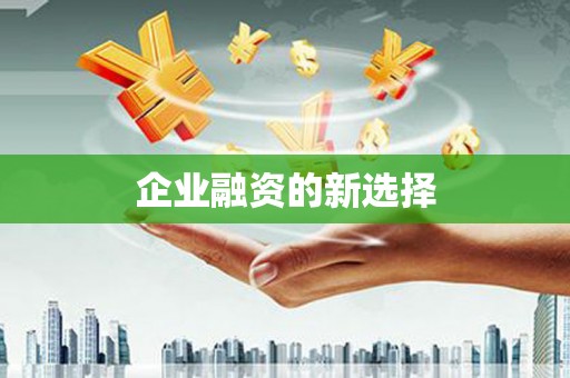 汝南企业融资的新选择