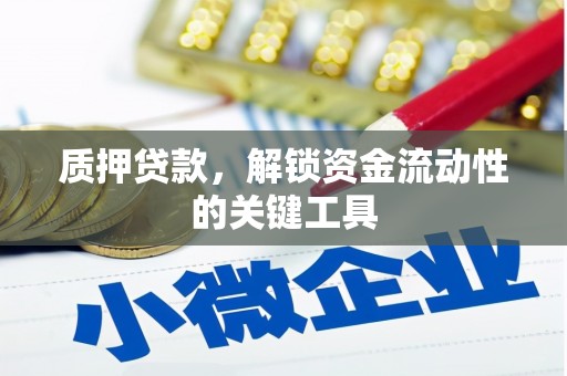 汝南质押贷款，解锁资金流动性的关键工具