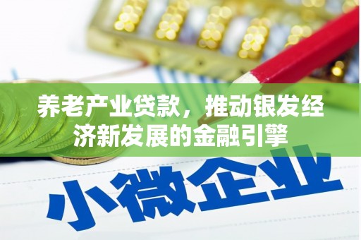 汝南养老产业贷款，推动银发经济新发展的金融引擎