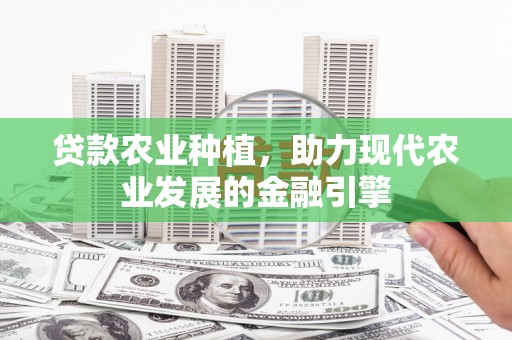 汝南贷款农业种植，助力现代农业发展的金融引擎