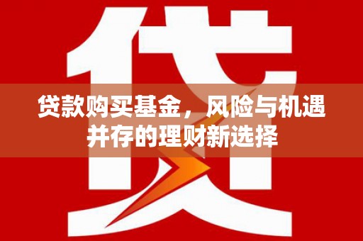 汝南贷款购买基金，风险与机遇并存的理财新选择