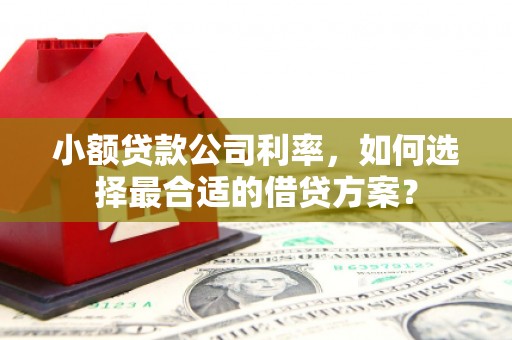 汝南小额贷款公司利率，如何选择最合适的借贷方案？