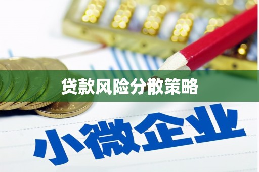 汝南贷款风险分散策略