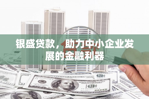 汝南银盛贷款，助力中小企业发展的金融利器
