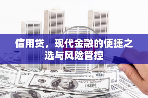 汝南信用贷，现代金融的便捷之选与风险管控