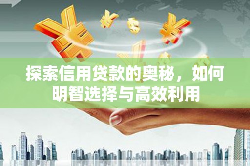 汝南探索信用贷款的奥秘，如何明智选择与高效利用