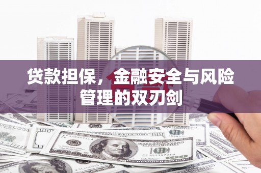 汝南贷款担保，金融安全与风险管理的双刃剑