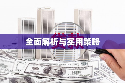 汝南全面解析与实用策略