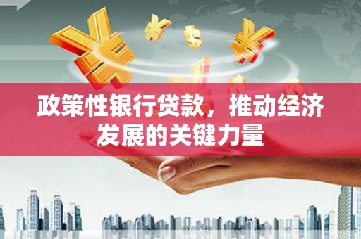 汝南政策性银行贷款，推动经济发展的关键力量